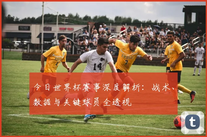 今日世界杯赛事深度解析:战术、数据与关键球员全透视