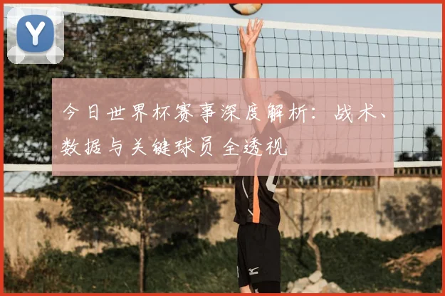 今日世界杯赛事深度解析:战术、数据与关键球员全透视