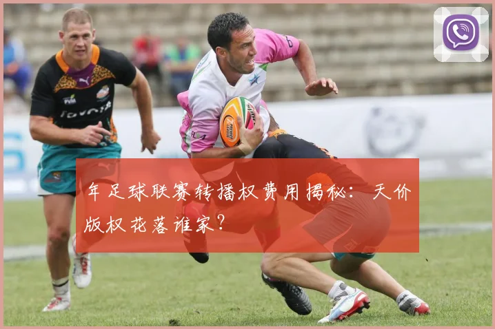 年足球联赛转播权费用揭秘:天价版权花落谁家?