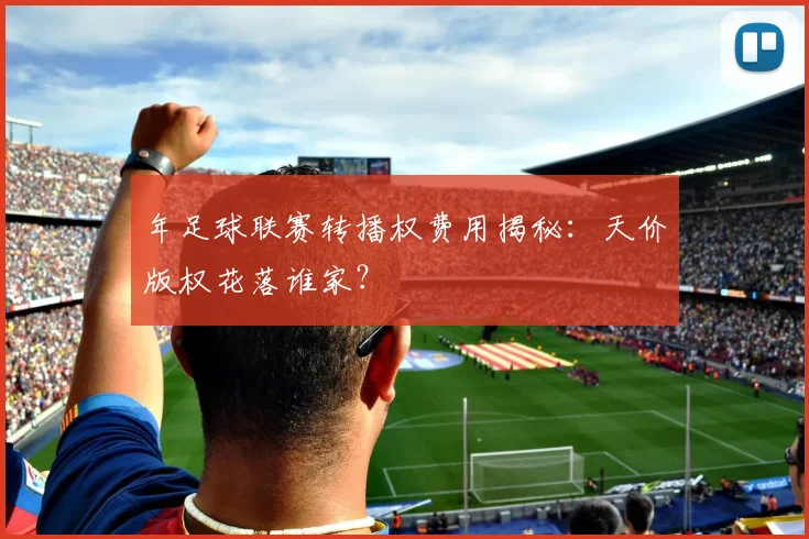 年足球联赛转播权费用揭秘:天价版权花落谁家?